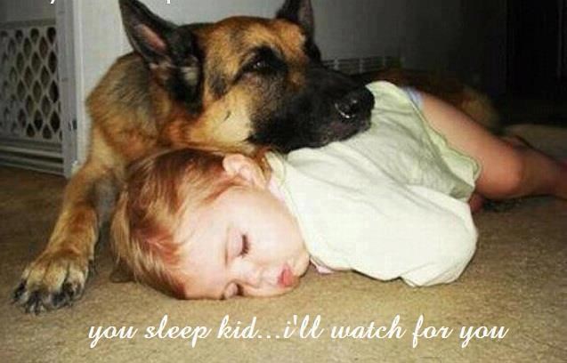 Anđeli čuvari su ipak među nama