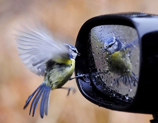 Pa ja sam najljepša na svijetu, šta oni pričaju, gle me!