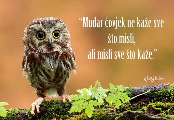 Sova je mudra. Slušaj mudru sovu.