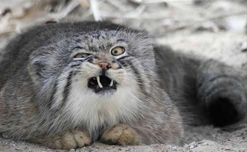 Bolje ti je da sam osvojio Jackpot kad me već budiš!