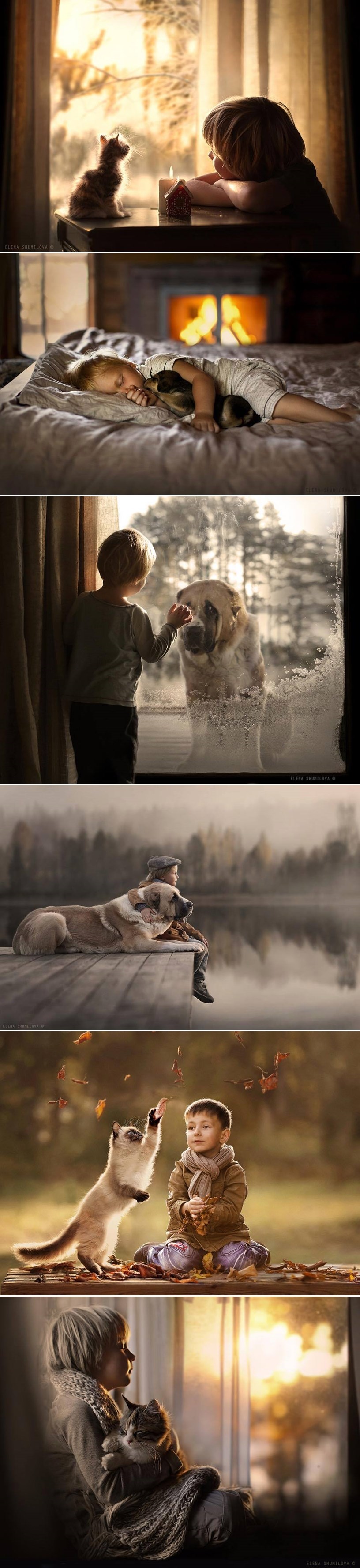 GALERIJA: Pravi prijatelji se kuže i bez riječi