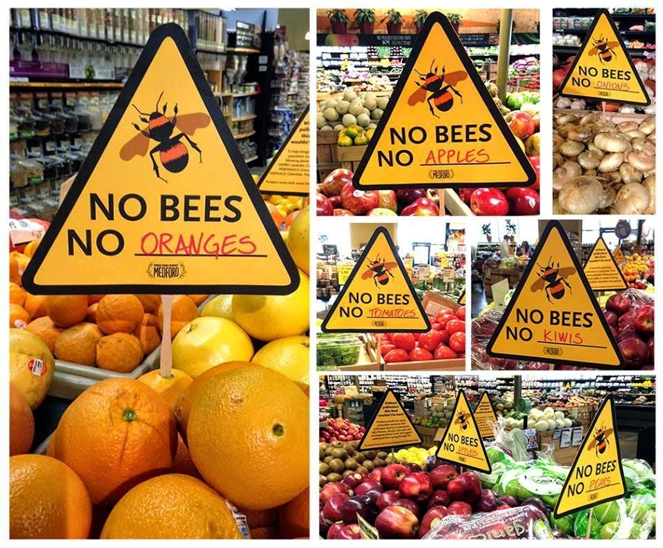 Nema pčela, nema hrane, nema života!