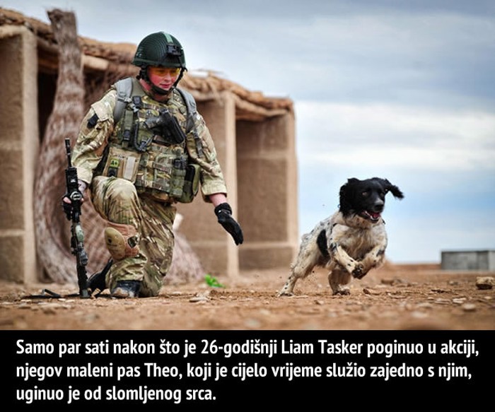 Psić-ratnik uginuo od tuge za svojim gazdom vojnikom