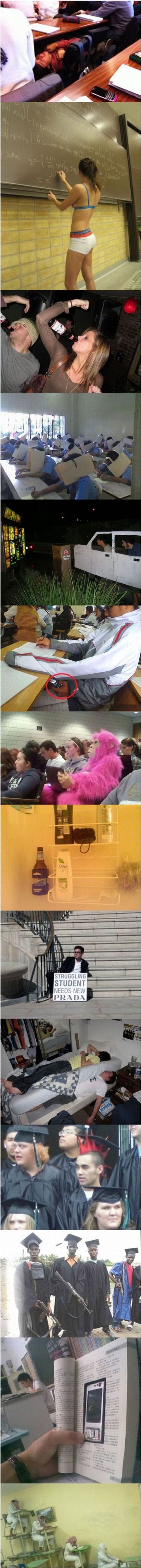 Galerija fotografija koje su začudile i nasmijale cijeli svijet