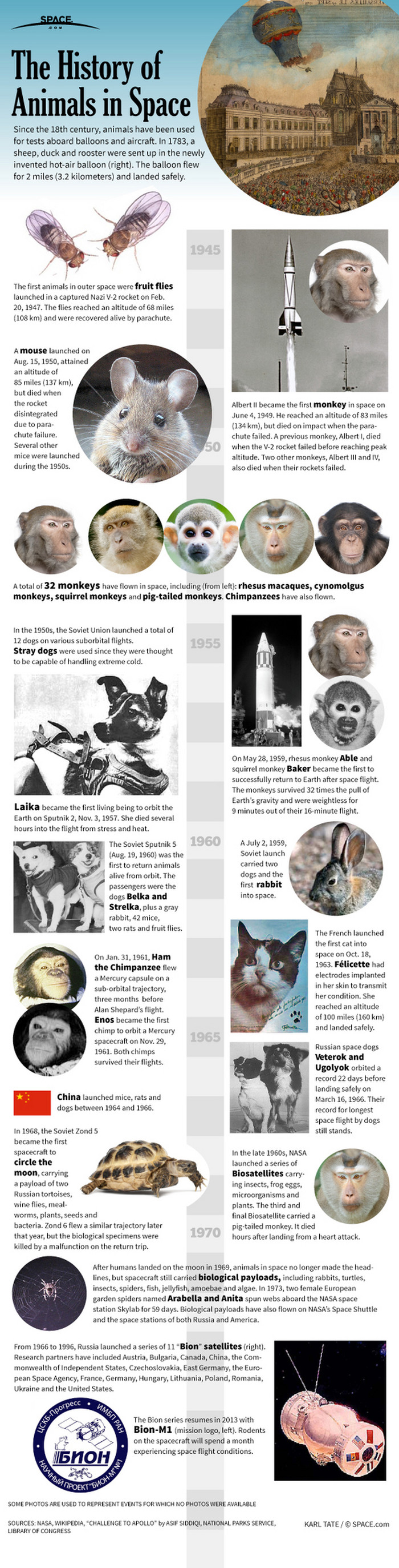 Životinje u svemiru: Upoznajte male "astronaute"
