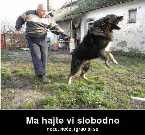 Neće, neće, jučer je pojeo poštara, samo vi slobodno