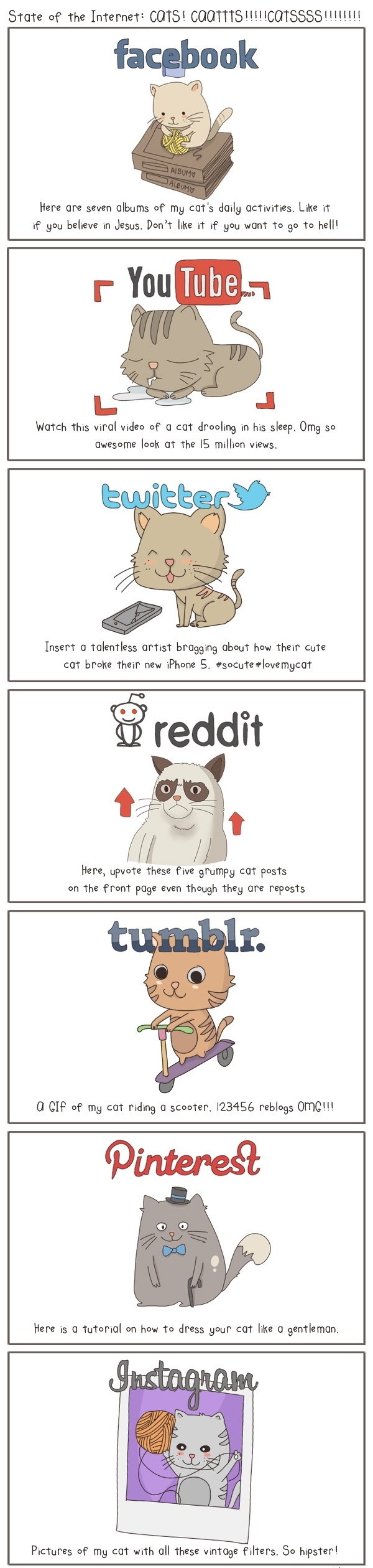 Dokaz da mačke vladaju svijetom