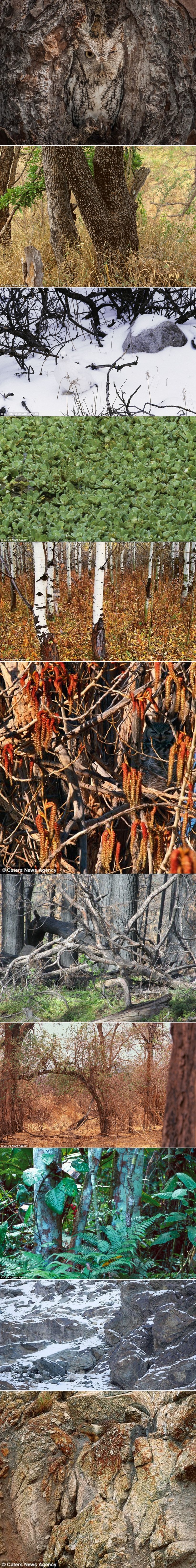 GALERIJA: Možete li ih pronaći sve?