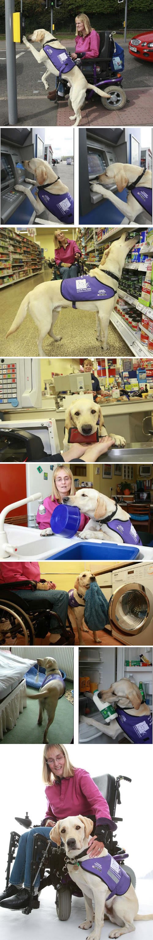 Prijatelj koji život znači: Nepokretna žena i "superpas"