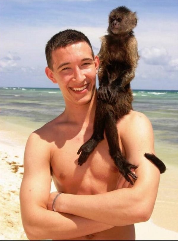 Veličanstvo majmun i njegov bezdlaki daleki rođak