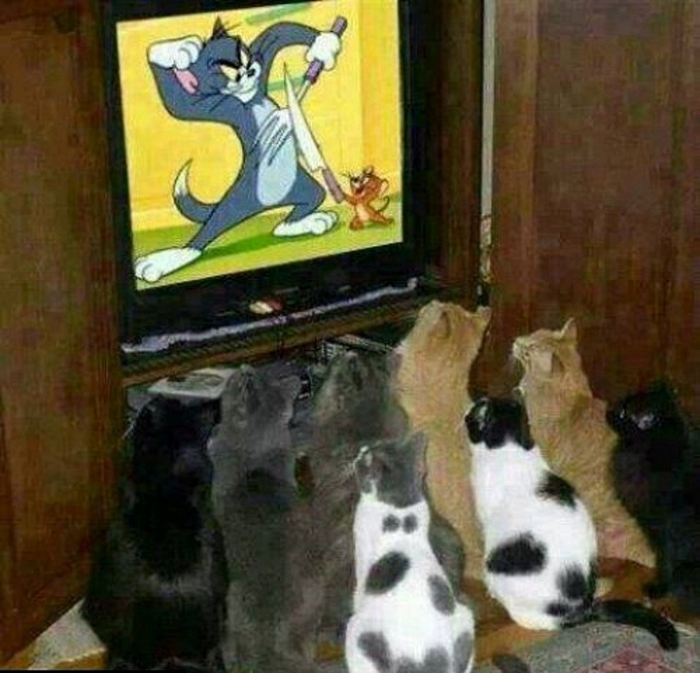 Crtići stvaraju nasilne ljubimce!