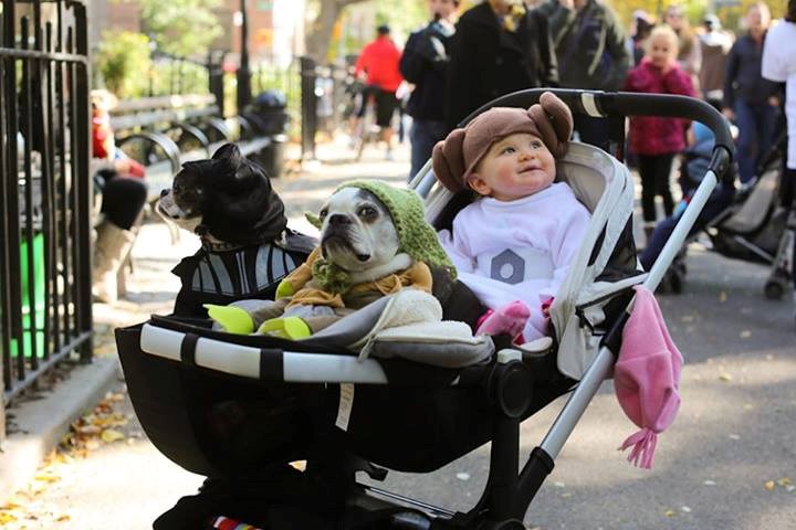 Najslađa ekipa Ratova zvijezda ikad