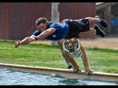 LJUDI S DEVET ŽIVOTA: Genijalna kompilacija najvećih srećkovića 2016!