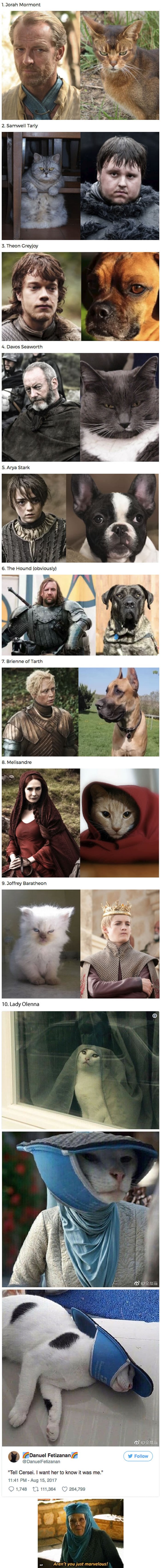 Deset pasa i mačaka koje izgledaju kao likovi iz serije "Igra prijestolja"