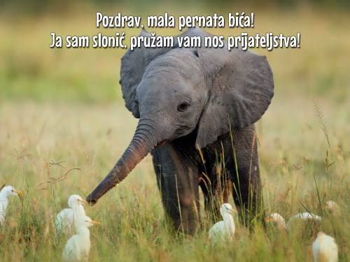 Uvijek pruži nos prijateljstva!