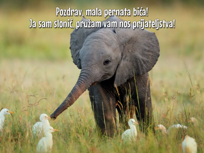 Uvijek pruži nos prijateljstva!