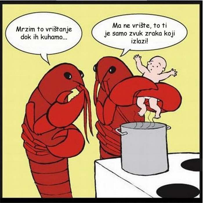 Ma ništa jastog ne osjeti kad ga živog kuhate, baš ništa..