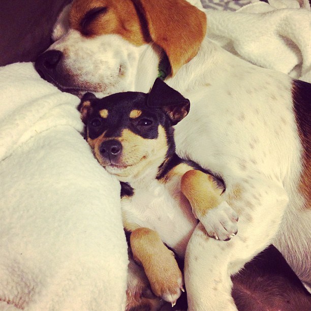 Preslatki mališa u toplom domu: Zna da mnogi nisu te sreće