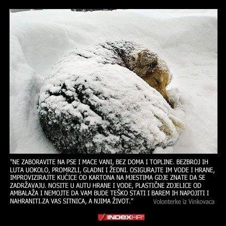 Snijeg je tu, pomozite životinjama beskućnicima