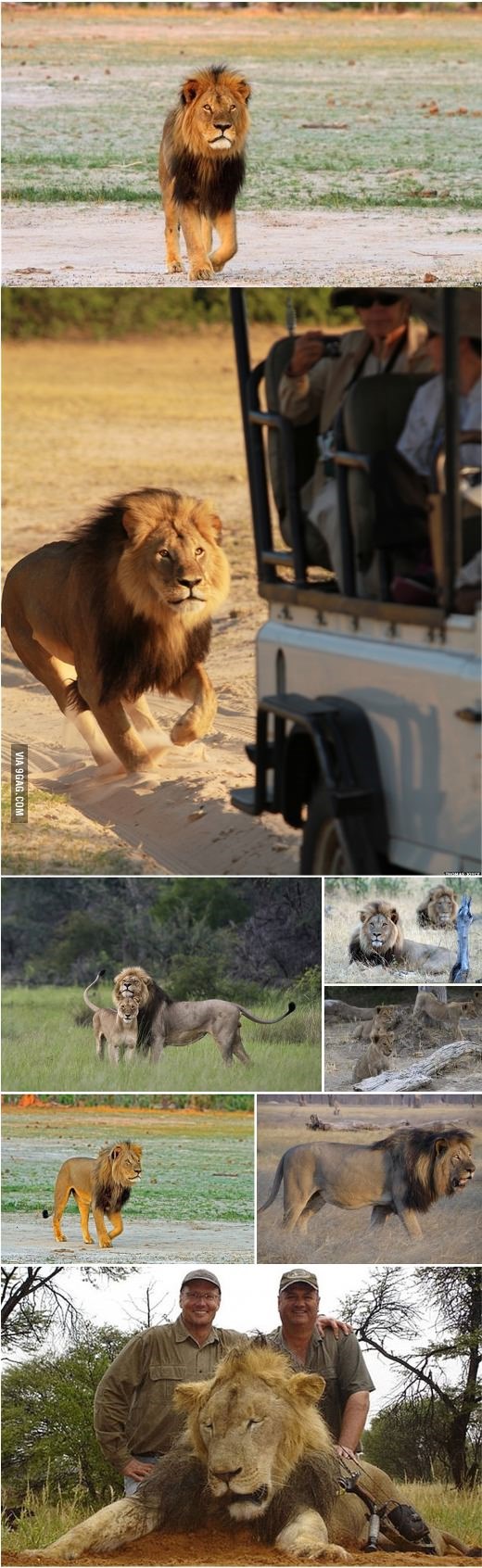 GALERIJA: Ovo je smeće koje je ubilo lava Cecila