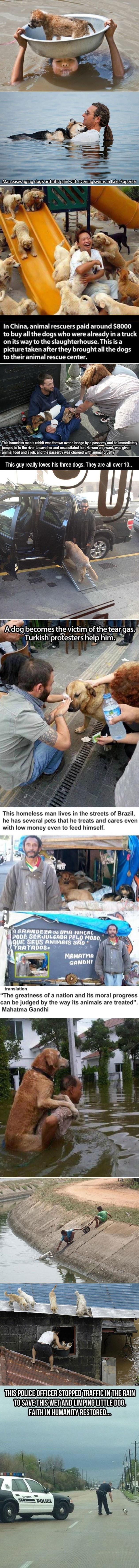 Galerija: Najljepše prijateljstvo otkad je čovjeka - i psa