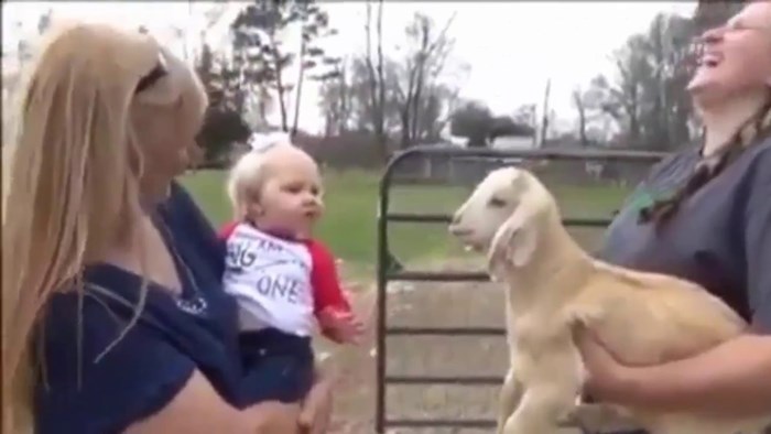 VIDEO Otkrili su bebin skriveni talent: Savršeno je oponašala kozu!