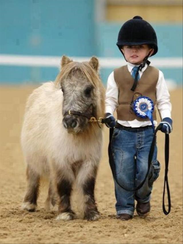 Majušni konjić za majušnog, ali vještog jahača