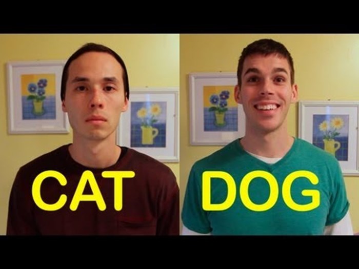 Kako bi se ponašali vaši prijatelji kada bi im dodijelili ulogu psa i mačke