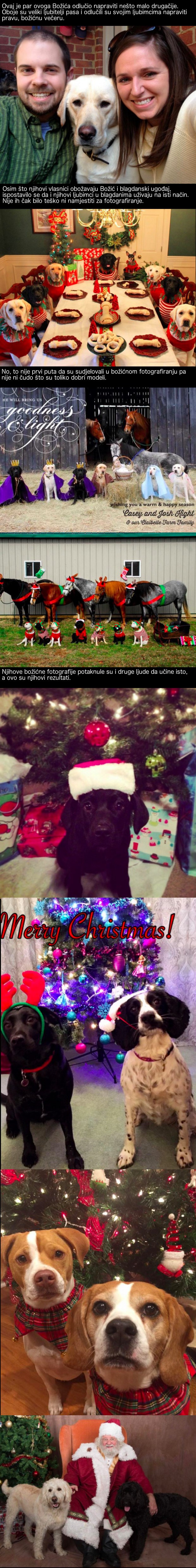 Ovaj je par odlučio svojim ljubimcima prirediti božićno iznenađenje