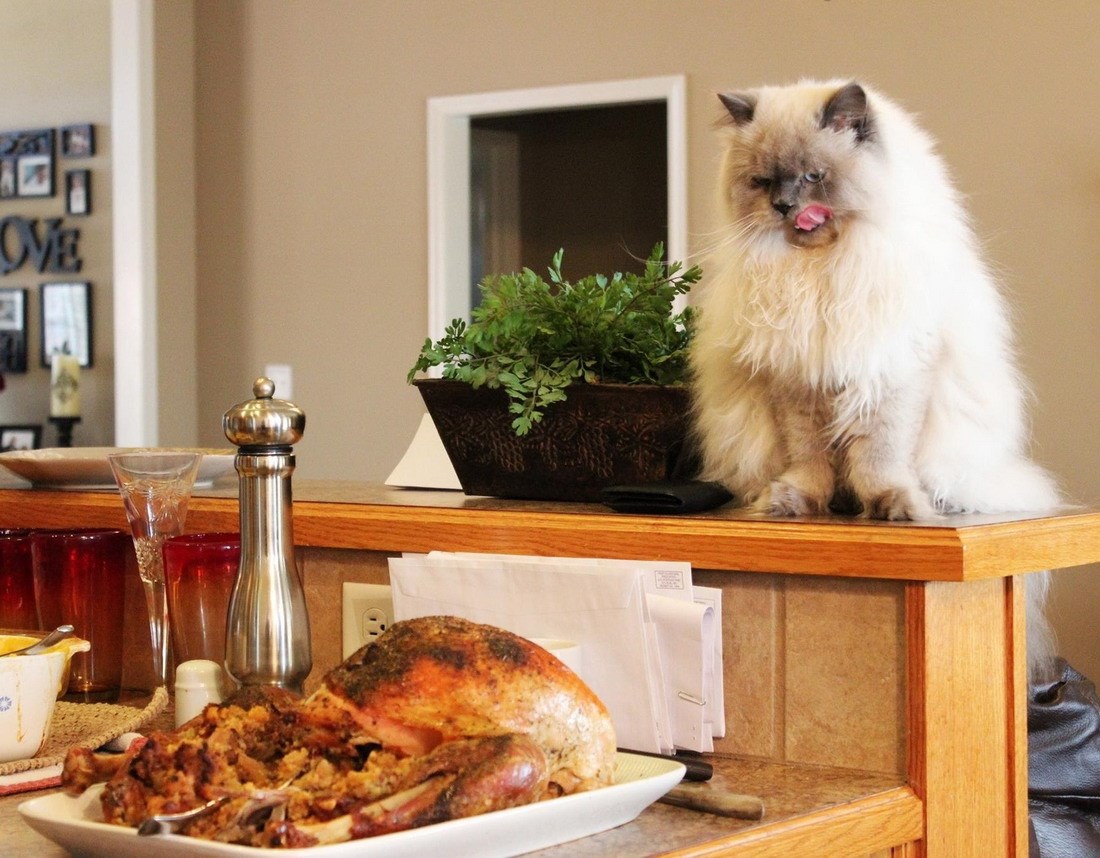 Slike stvarno vrijede tisuću riječi