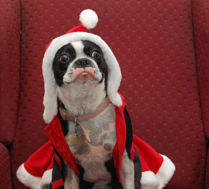 Yo-ho-ho!