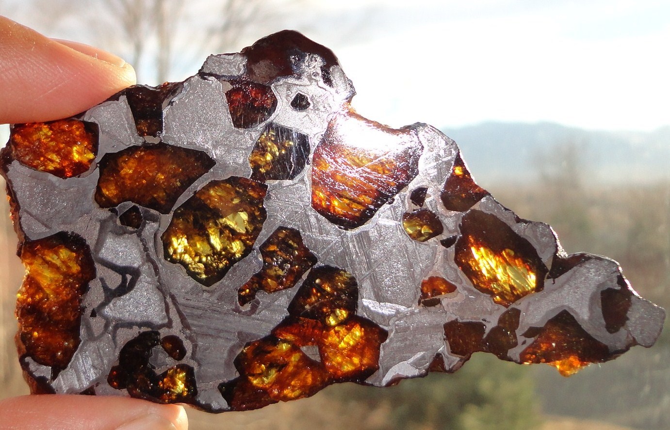 Šnita meteorita: Kristali zarobljeni u željezu