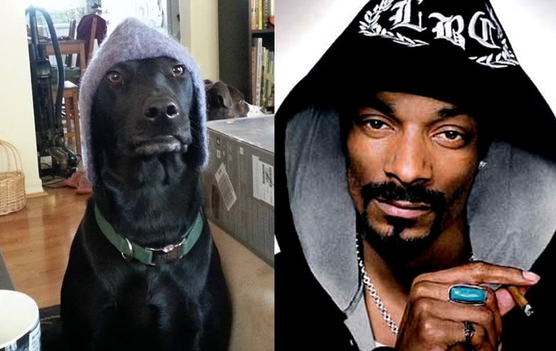Snoop, jes to ti?