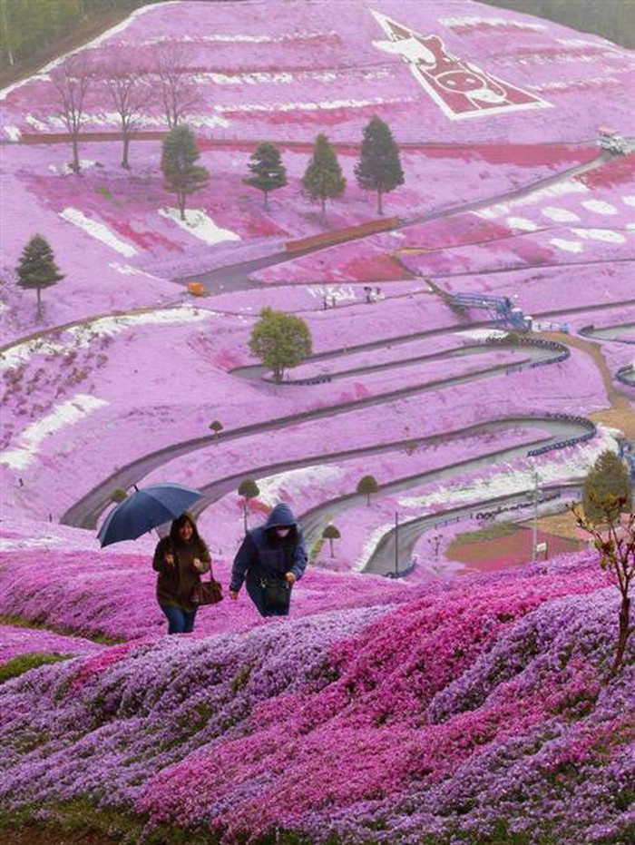 Japan - jedno od najčudnijih i naljepših mjesta na svijetu