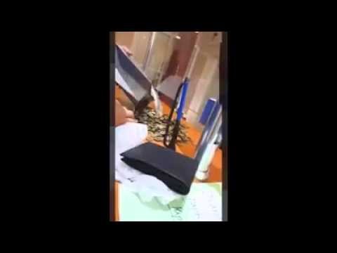 HIT VIDEO: Došao platiti kaznu za parking i napravio urnebes