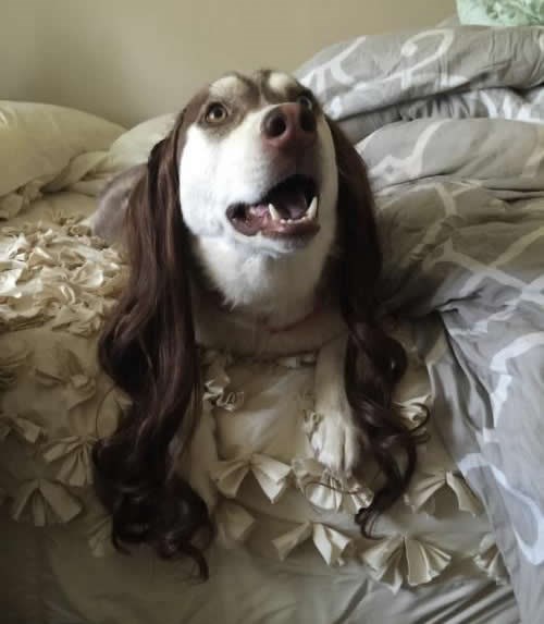 Netko je jaaaako usamljen