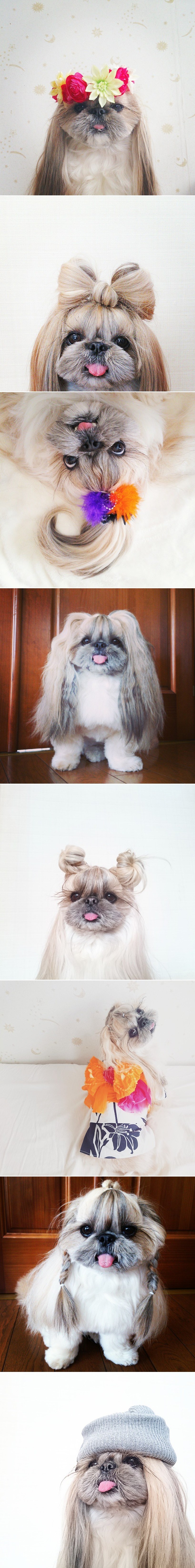 GALERIJA: Mala trendseterica Kuma preslatka u svakoj kombinaciji