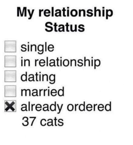 Kako se uvijek osjećaš nakon prekida