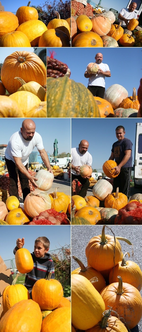 Boje jeseni: Osijek pun bundevi