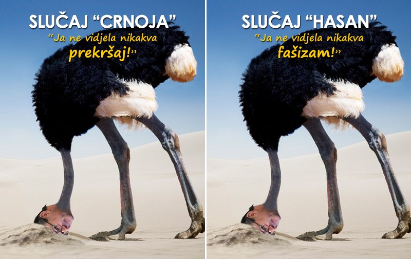 Nojeva "jaja" nisu uvijek velika