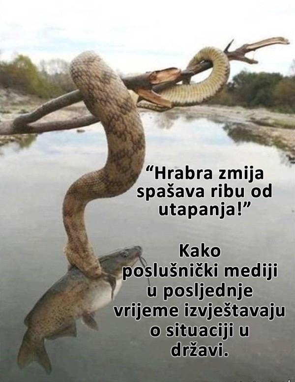 Vjerujete li vijestima?