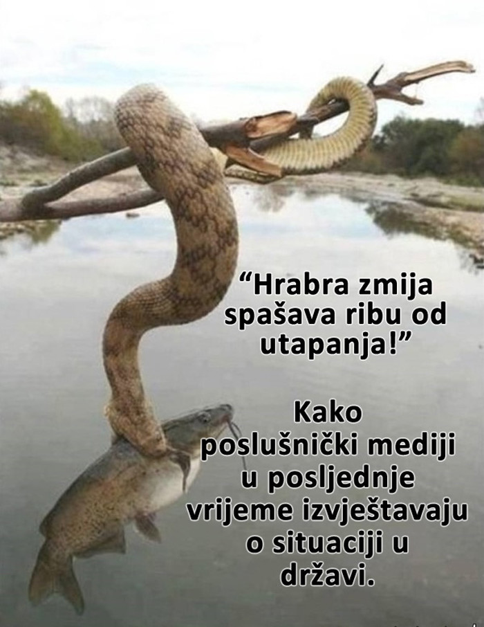 Vjerujete li vijestima?