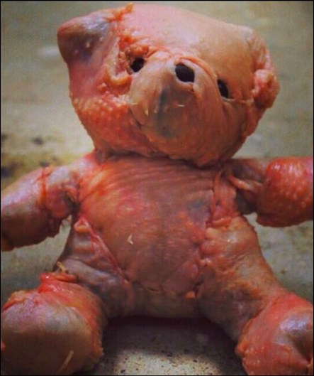 Klincima za božićnu večeru medvjedić od purana