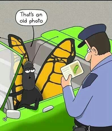 Ja sam, ja sam, samo stara fotka