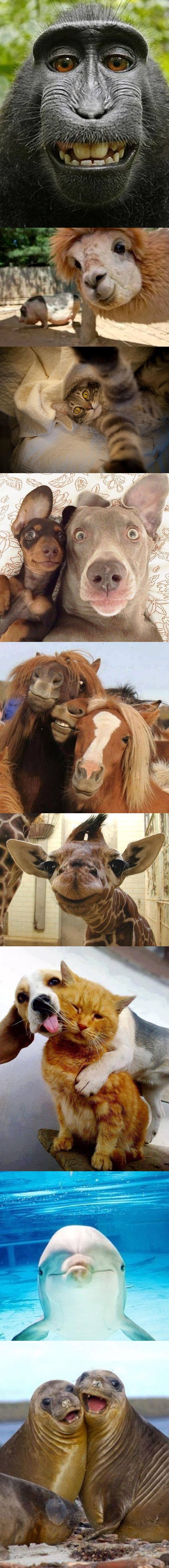 kamere ih jednostavno vole..:)))