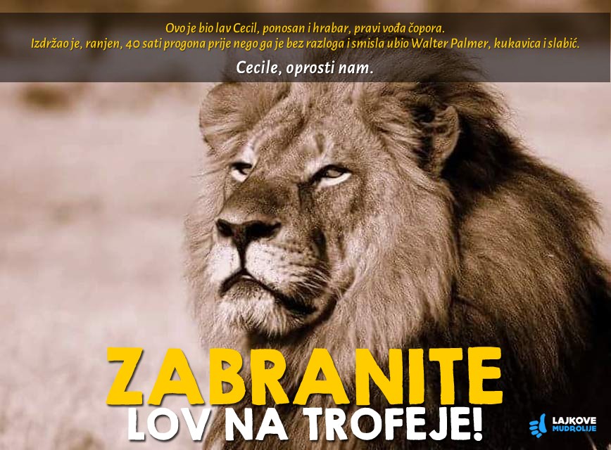 STOP besmislenom ubijanju!