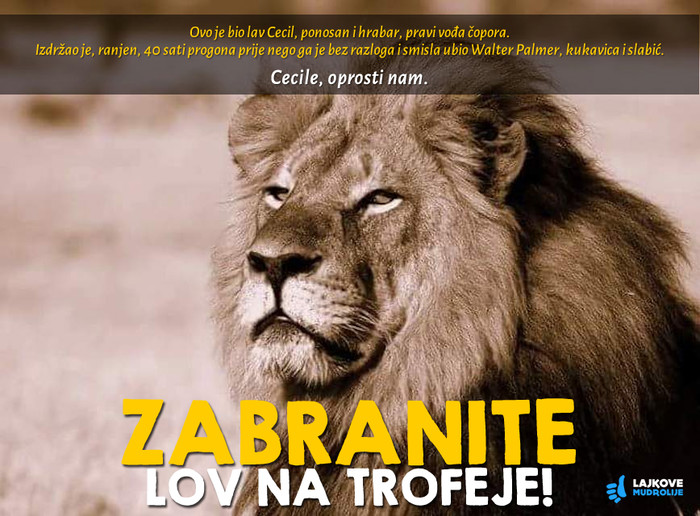 STOP besmislenom ubijanju!