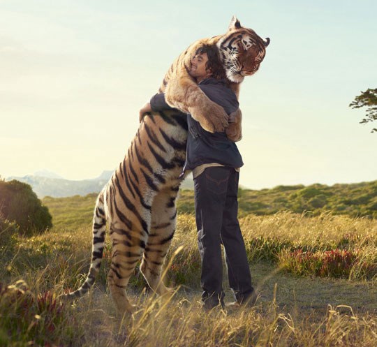 Ma dođi, buraz, pa ne grizem: Zagrljaj s tigrom