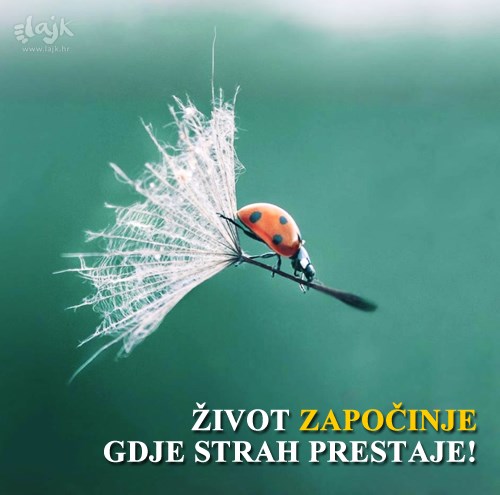 Malo hrabrosti puno znači