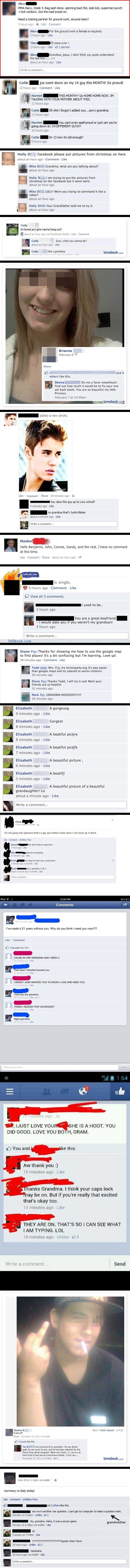 Kad se bake domognu Facebooka